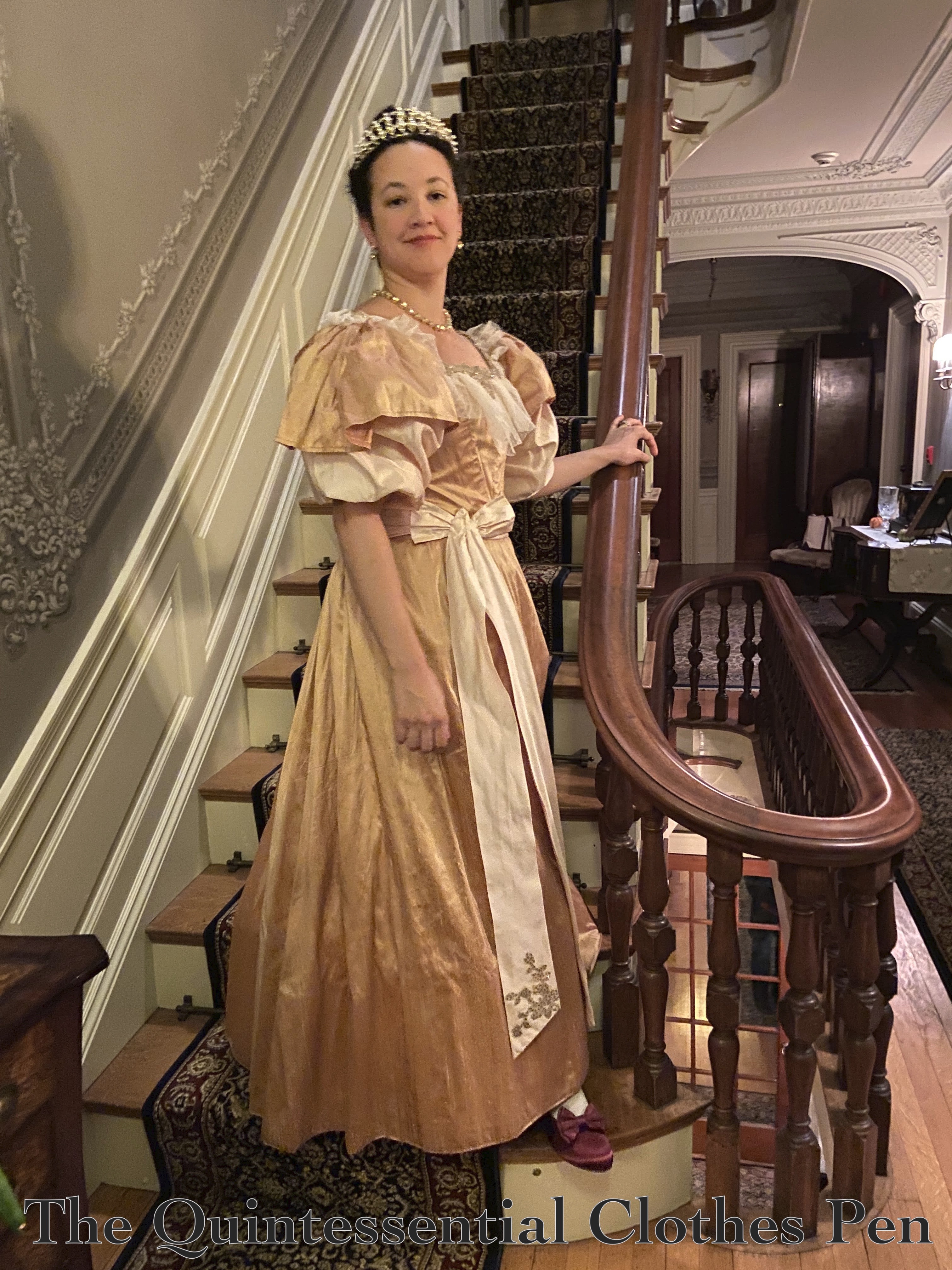 When The Dress No Longer Fits (1896 Evening Gown) – The Quintessential  Clothes Pen